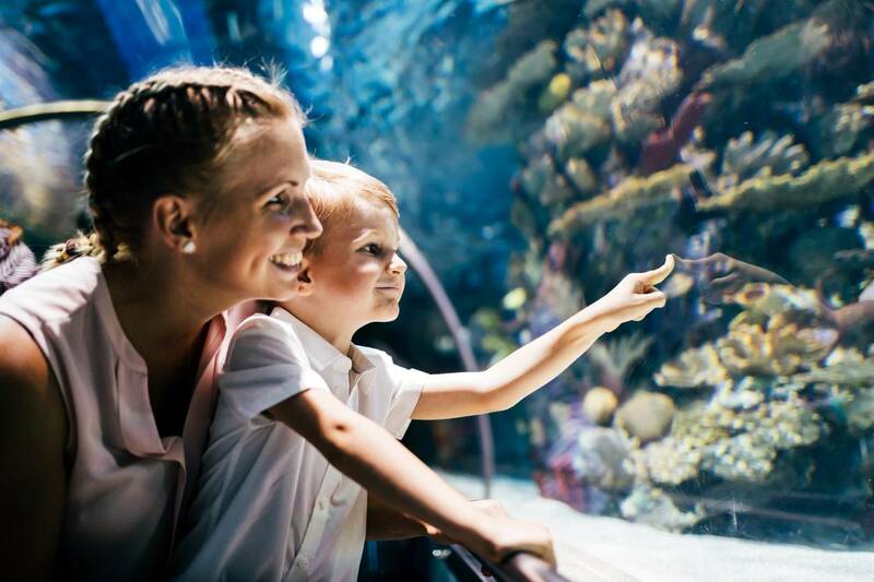 aquarium Boulogne-sur-Mer famille