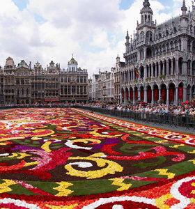 Groupe Quintonic Belgique