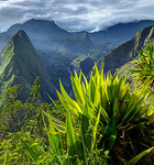Groupe Quintonic La Réunion