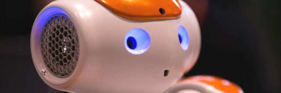 Le robot, votre compagnon de demain ?