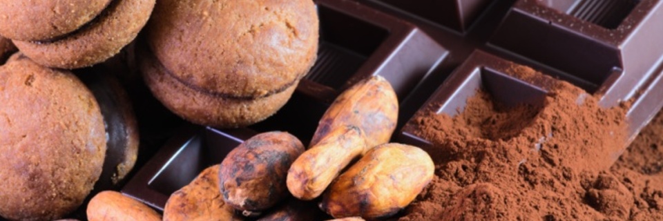 Embarquez pour un tour de France du chocolat