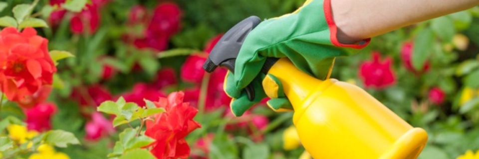 Insecticides chimiques : des produits à n’utiliser qu’en dernier recours !