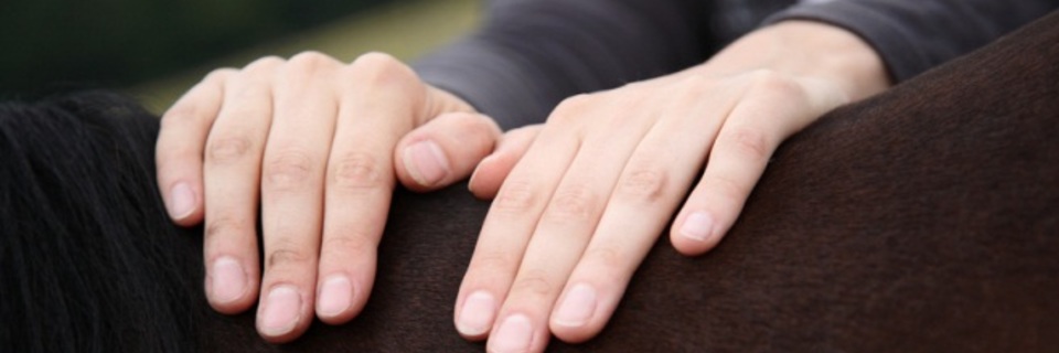 Connaissez-vous l’ostéopathie animale ?