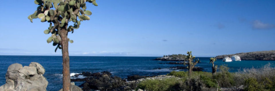 Direction les Galápagos : choisir sa croisière