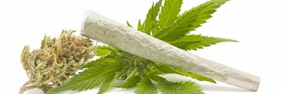 Cannabis thérapeutique : pour ou contre ?