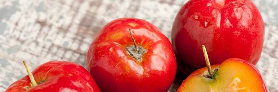 Optez pour une cure d’acérola !