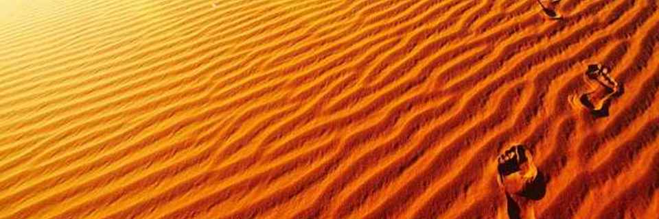 La marche afghane : qu’est-ce que c’est ?