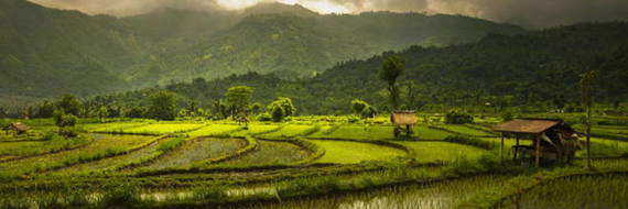 Destination Bali, un joli coin de paradis