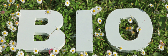Produits bio d'importation : la vigilance s'impose