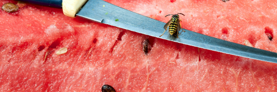 7 conseils pour réussir un barbecue sans guêpes ni abeilles