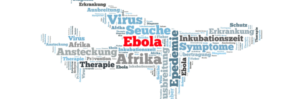 Virus Ebola : ce qu'il faut savoir