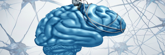 Une bonne hygiène de vie peut protéger contre Alzheimer