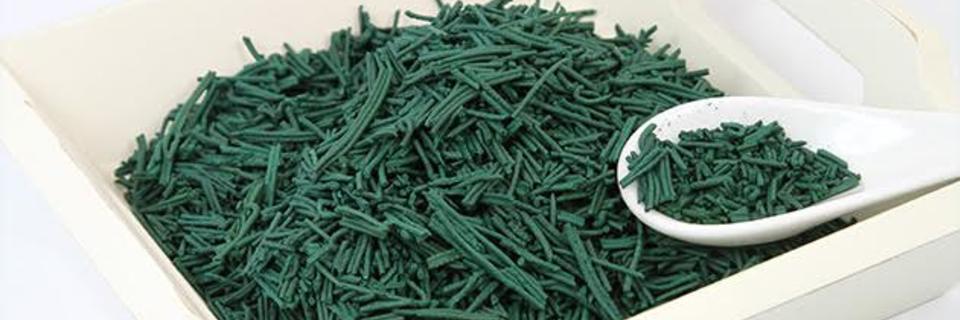 Une algue qui fait des miracles !