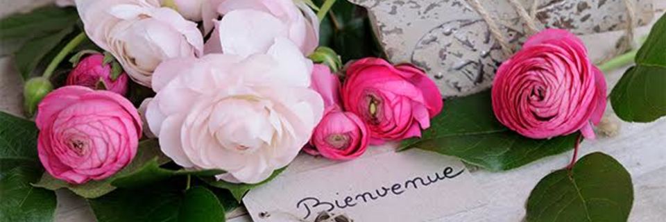 4 chambres d'hôtes insolites en France