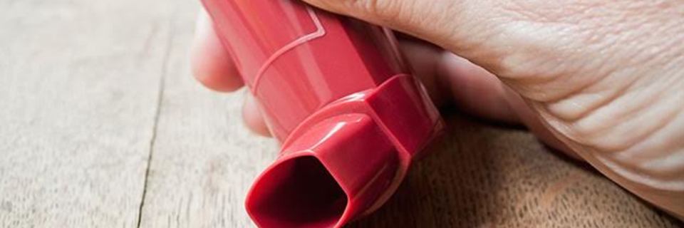 Asthme : une plante plus efficace que les médicaments ?