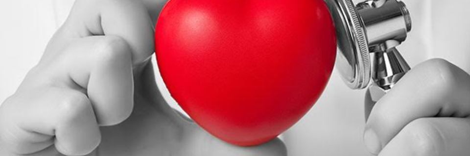 Qui sont les personnes hypersensibles ?