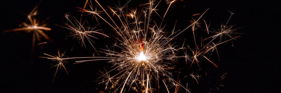 Mon animal de compagnie a peur des feux d'artifice, que faire ?