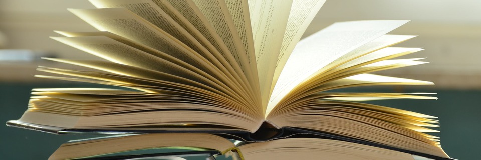 15 proverbes et dictons français à découvrir !