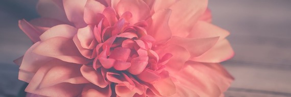 Octobre Rose : un mois de lutte contre le cancer du sein