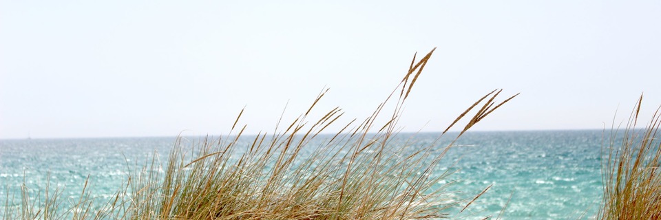 5 écogestes pour protéger nos plages pendant les vacances 