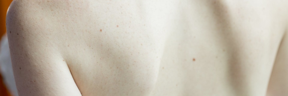 Aloe Vera : un secret de beauté millénaire 