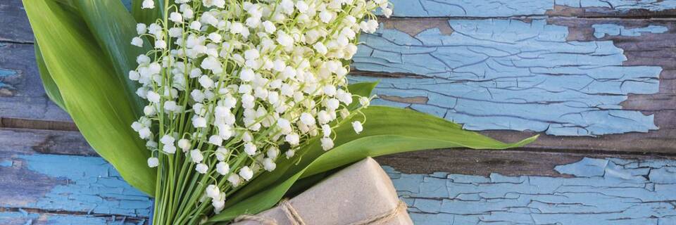 Anniversaire : 4 conseils pour choisir les fleurs