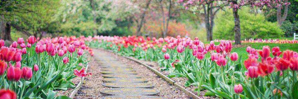 Comment aménager son jardin en 4 étapes faciles