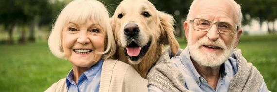 Animaux : non, il n'est pas nécessaire de se séparer de son chien quand on prend de l'âge