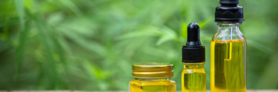 La consommation de CBD des seniors