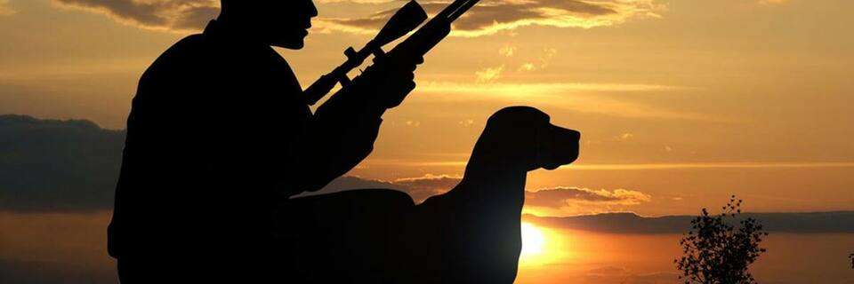 Chasse: le gouvernement met en place des mesures pour une pratique plus sécurisée et interdit la consommation d'alcool et de drogue