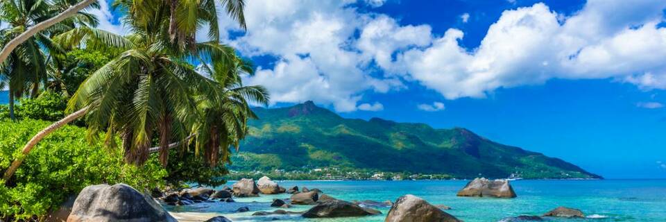 TraceDirecte, l’agence de voyage sur mesure, met à jour son site internet