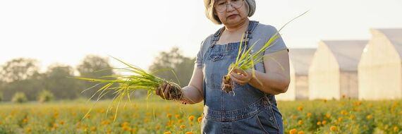 CBD pour les seniors : dangers ou bénéfices ?
