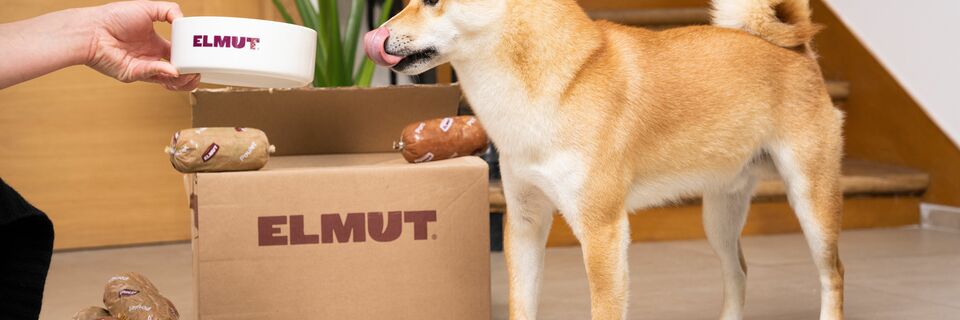Elmut pour les chiens et pour les chats : une révolution alimentaire pour nos compagnons à quatre pattes