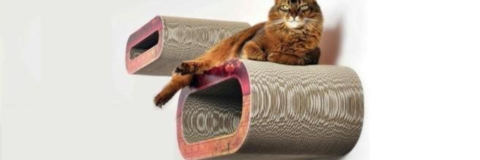 Animaux de compagnie : leur confort au coeur de votre maison