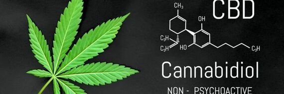 Comment bien choisir un produit CBD ?