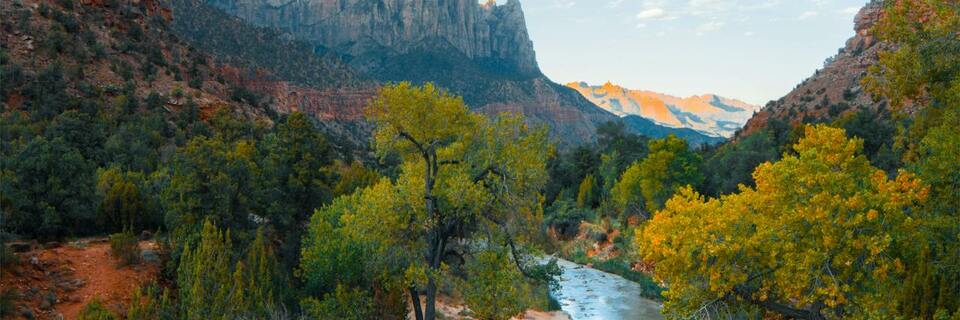 Les bienfaits de la nature pour les séniors
