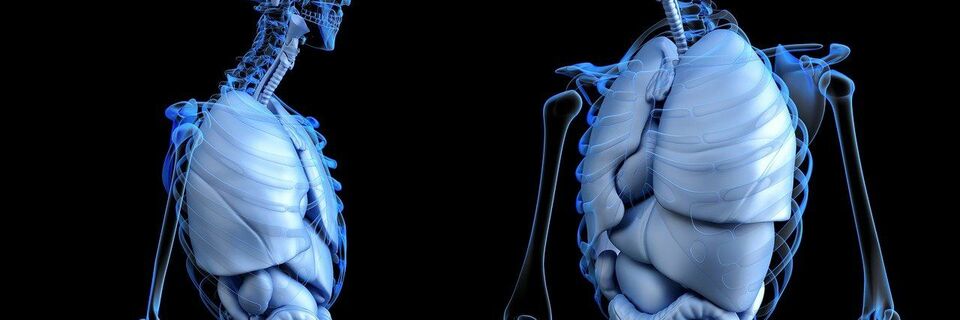 Les complémentaires santé pour les seniors sont-elles indispensables ? 