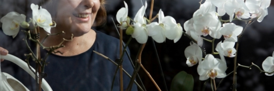 Créer ses potées de fleurs d'intérieur : forcer des bulbes