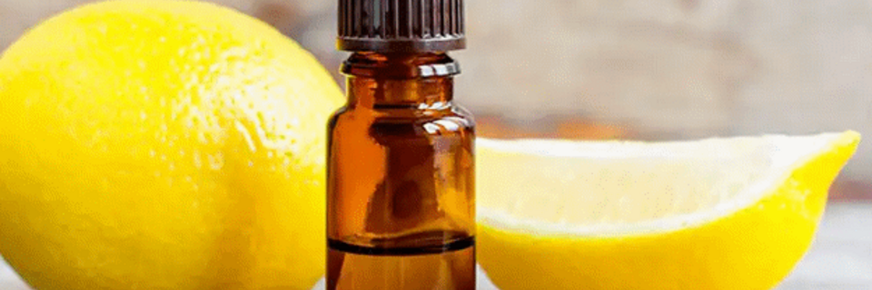 Peut-on concilier soins de la peau et répulsifs naturels ?