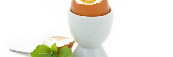 Les oeufs n’auront plus de secret pour vous !