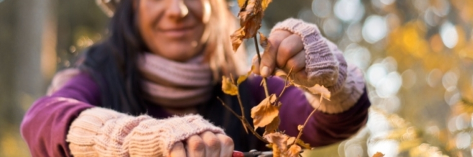 En janvier, je laisse mes plantes se reposer