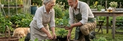 Jardinage 2026 : 4 légumes à semer en août pour cet automne