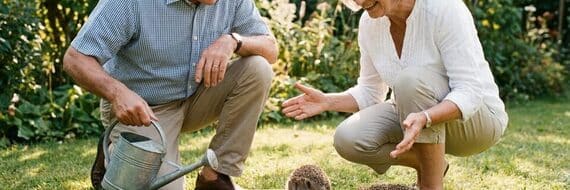 Jardin : l'astuce simple et sécurisée pour désaltérer les hérissons en août