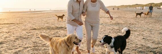 Plages pour chiens : où se promener librement en septembre
