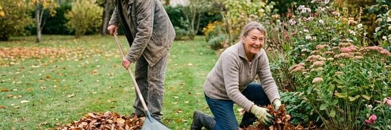 Feuilles mortes : Ramassez sur la pelouse, laissez en massif