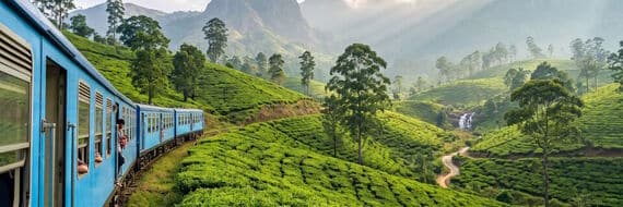 Voyager de Paris au Sri Lanka : découvrez les options abordables pour un voyage inoubliable Voyager de Paris au Sri Lanka : découvrez les options abordables pour un voyage inoubliable