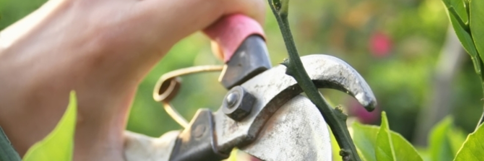 Février : la nature se réveille doucement