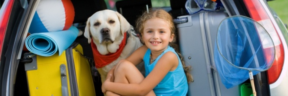 Bagages : bien charger sa voiture avant un départ en vacances