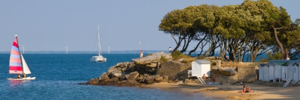 Noirmoutier : authenticité entre terre et mer