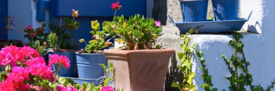 Jardinage de mars : le printemps arrive